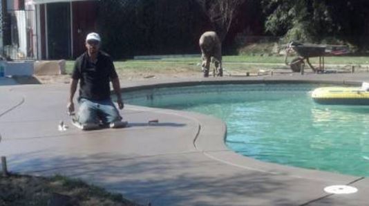 a picture of a pool contractor in walnut creek, ca